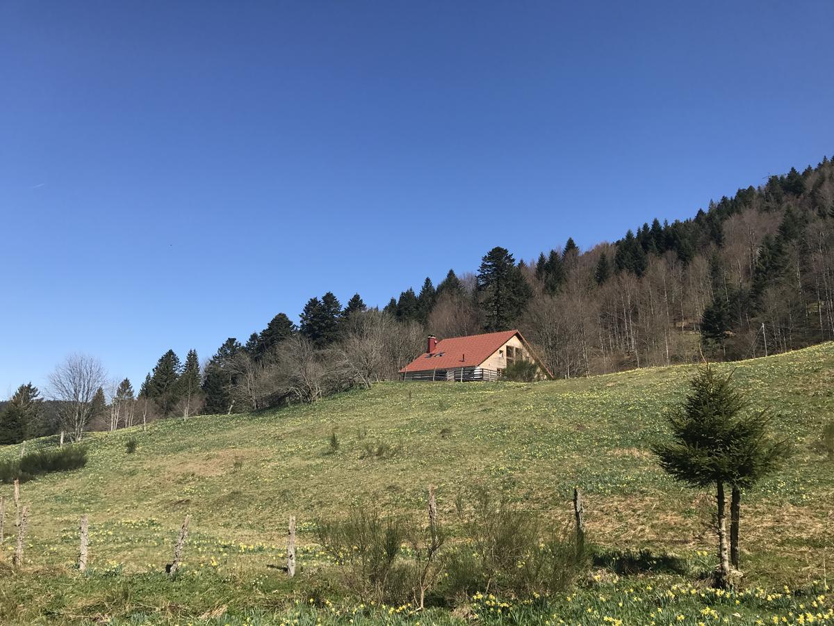 Villa La Ferme Des Delices Gérardmer Exterior foto